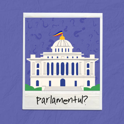 Ce face parlamentul?