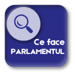 Ce face parlamentul?