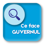 Ce face guvernul?